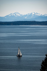 Bright sailboat on Puget Sound #2