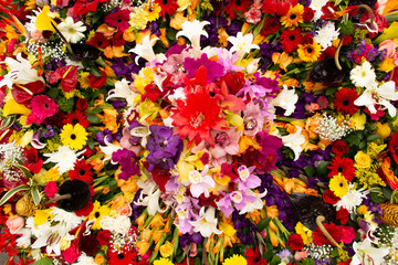 Obraz na płótnie Canvas Corona floral