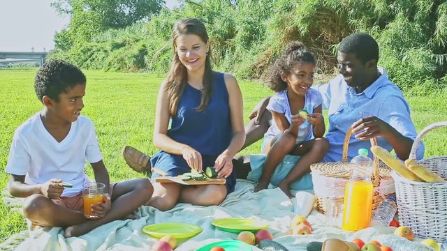Portrait of cheerful interracial family with two children enjoying picnic on green meadow