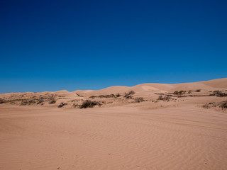 Fototapeta na wymiar Sand dunes in southern California Imperial sand dunes