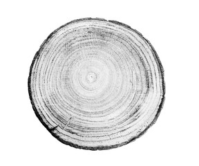 Black and white wood texture stamp art. Detailed tree ring design. Rough organic tree rings end...