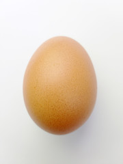 egg isolated on white background
