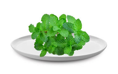 Mint leaves in white plate isolated on white background