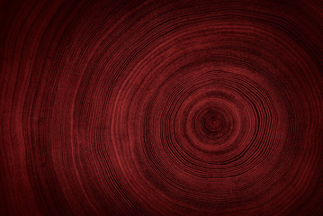 Dark red textured wood from a tree trunk with growth rings