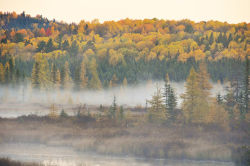 sunrise and mist over the river in forest of autumn colour  Algonquin Park Ontario Canada