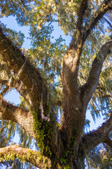 Park in the city of Orlando