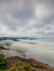 Fototapeta na wymiar Vertical Image - View from Cape Foulweather overlook of Oregon coast as fog comes ashore