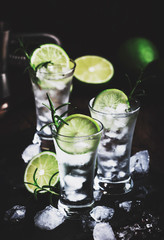 Classic gin tonic cocktail with lime, ice and rosemary. Vintage bar, evening atmosphere, bar tools
