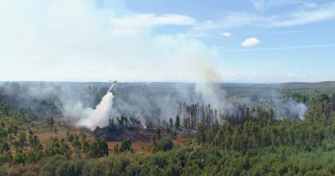 Firefighting aircraft dropping a load of water to extinguish the fire in the forest. Chile.