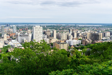 Incredible city view of Montreal from rooftop