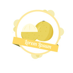 Fototapeta premium Duku Object Vector Fruit Illustration. fruit logo icon