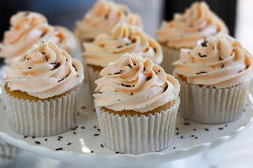 Vanilla cupcakes with colorful liners and sprinkles on display