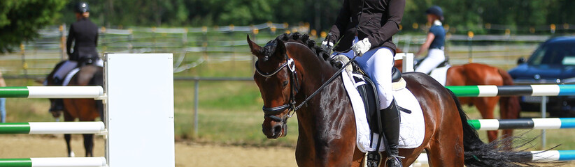 Dressage horse photographed at a dressage tournament with a rider in a section above the head and...