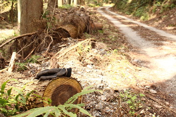 山道脇に捨てられた手袋