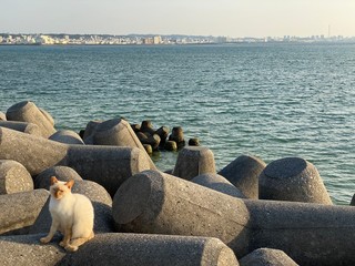 people on the beach