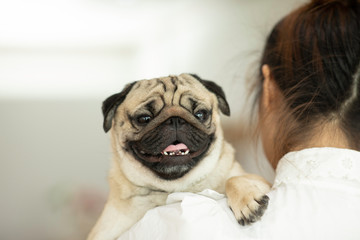 Woman holding cute dog pug on her shoulder smile with happiness and cheerful
