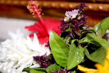 decoration with aromatic herbs flower