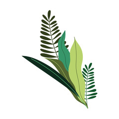 branches leaves foliage nature botanical isolated icon design