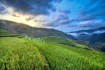 Beautiful step of rice terrace paddle field in sunset and dawn at Mam Xoi hill, Mu Cang Chai, Vietnam. Mu Cang Chai is beautiful in nature place in Vietnam, Southeast Asia. Travel concept. Aerial view