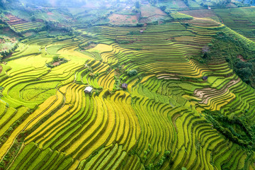 Beautiful step of rice terrace paddle field in sunset and dawn at Mam Xoi hill, Mu Cang Chai, Vietnam. Mu Cang Chai is beautiful in nature place in Vietnam, Southeast Asia. Travel concept. Aerial view