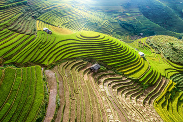 Mooie stap van rijstterras peddelveld in zonsondergang en zonsopgang op Mam Xoi hill, Mu Cang Chai, Vietnam. Mu Cang Chai is prachtig in de natuur in Vietnam, Zuidoost-Azië. Reisconcept. Luchtfoto