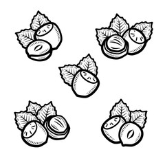 Hazelnut nuts set. Collection icon hazelnut nuts. Vector