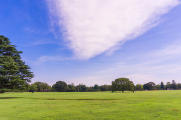 公園と雲 Park and clouds