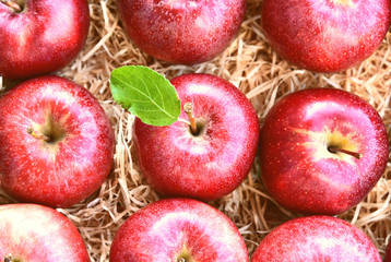 A lot of fresh Red Gala apples with green leaf on Straw or wood wool shavings packaging in the supermarket.