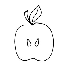  Collection of fruits and berries in doodle style. Decorative retro style farm collection product for restaurant menu, market label. Vector doodle illustration in black isolated on white background.