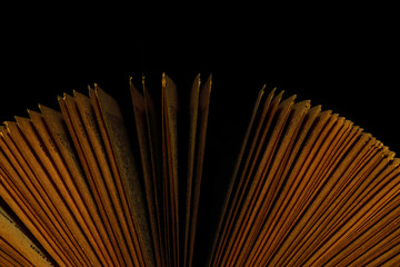 Book fanned pages in dark room