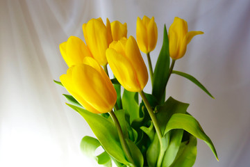 bouquet of yellow tulips
