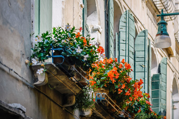 Venice, Italy - Beautiful romantic corner and balcony on Venetian streets. Flowers blossom add colors to the houses and town