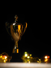 trophy with low light