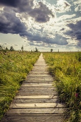 Wooden walkway called Dluga Luka in Biebrza National Park, Podlasie region of Poland