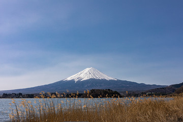ススキと河口湖越しに見る富士山と青空