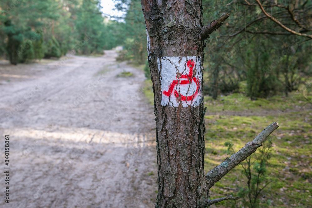 Sticker Trail for disabled persons in Masovian Landscape Park near Karcze, small town in Poland