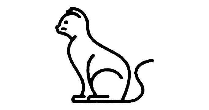 Hand drawn sketch icon animation for domestic cat to use as video design element. Minimalistic symbol made for motion graphic, can be used as loop item, has alpha channel.