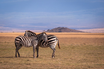 Fototapeta na wymiar Amboseli14