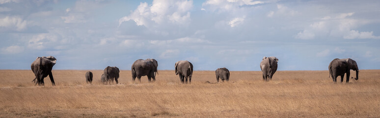 Amboseli9