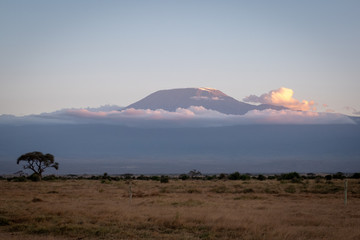 Amboseli4