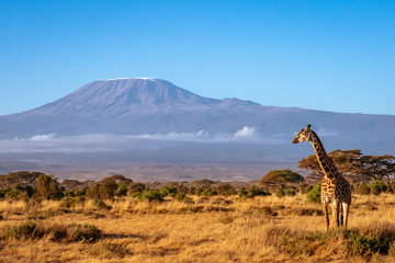 Amboseli3