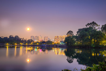 SIngapore 2019, MacRitchie lake by night, Reservoir Park 