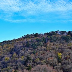 秋の空と大山の晩秋情景＠鳥取