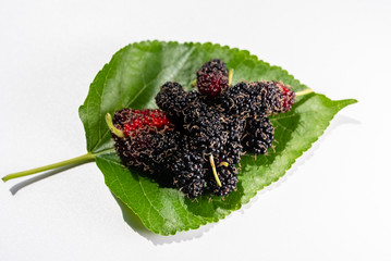 Many organic mulberry leaves are used from fresh mulberry leaves to make mulberry jam for...