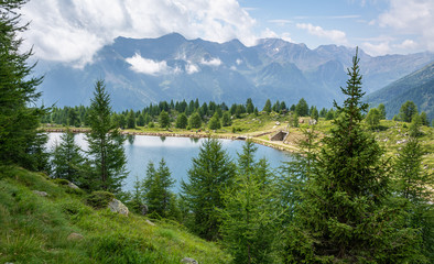 Naklejka na ściany i meble summer view of small lake in Pejo Valley, Trentino Alto Adige, northern Italy
