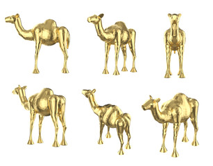 Set of polygonal camels