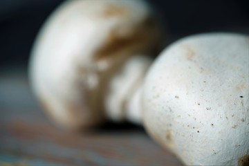close up view on fresh champignon on wooden surface