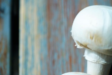 macro view on champignon head on wooden table