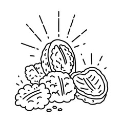 traditional black line work tattoo style walnuts with shell