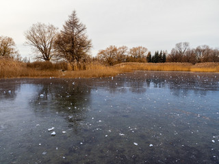 Jarry Park2